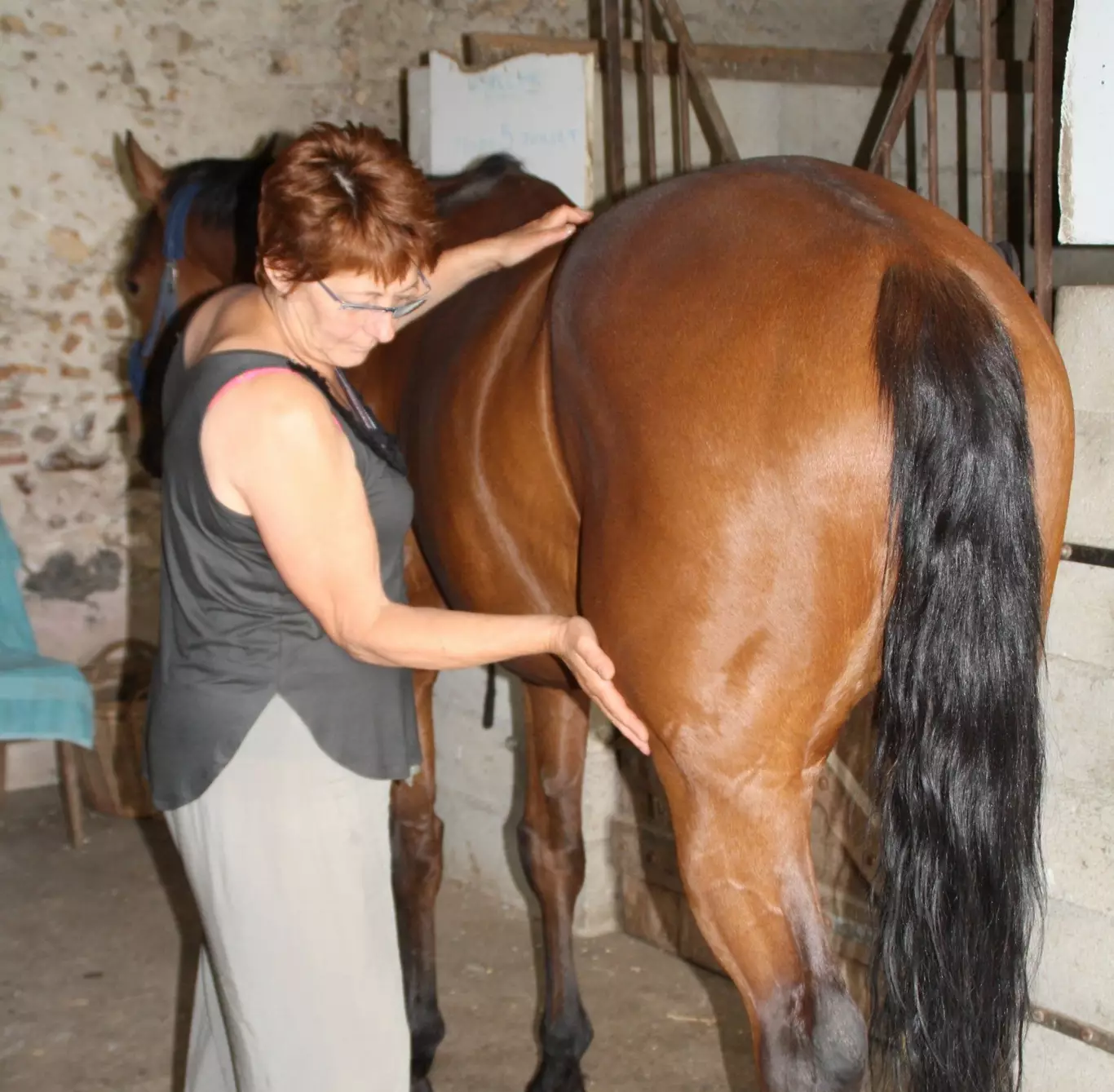 Consultation de psychonomie animale à domicile en Alsace