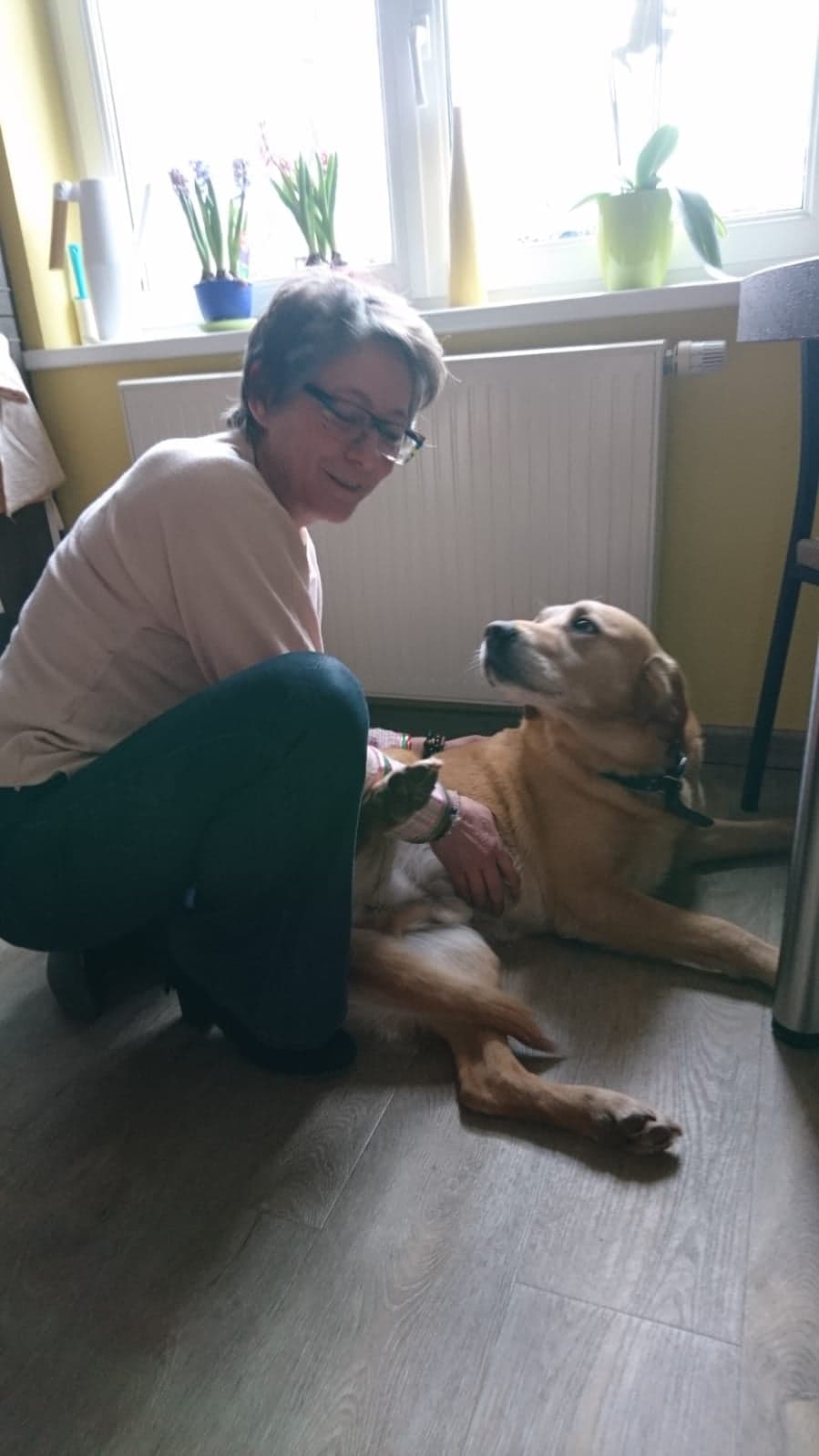 Psychonomie animale sur un chien